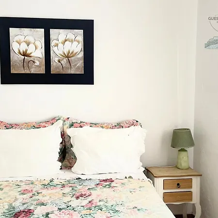 Historic House In Downtown * Пениши